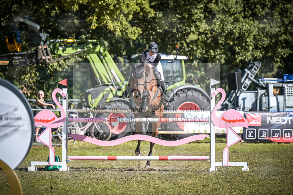 DOS_0988 | Entdecke hochwertige Reitturnierfotos von Foto Oger. Professionell, emotional und authentisch – jetzt Lieblingsmomente im Shop bestellen. - Realisiert mit Pictrs.com