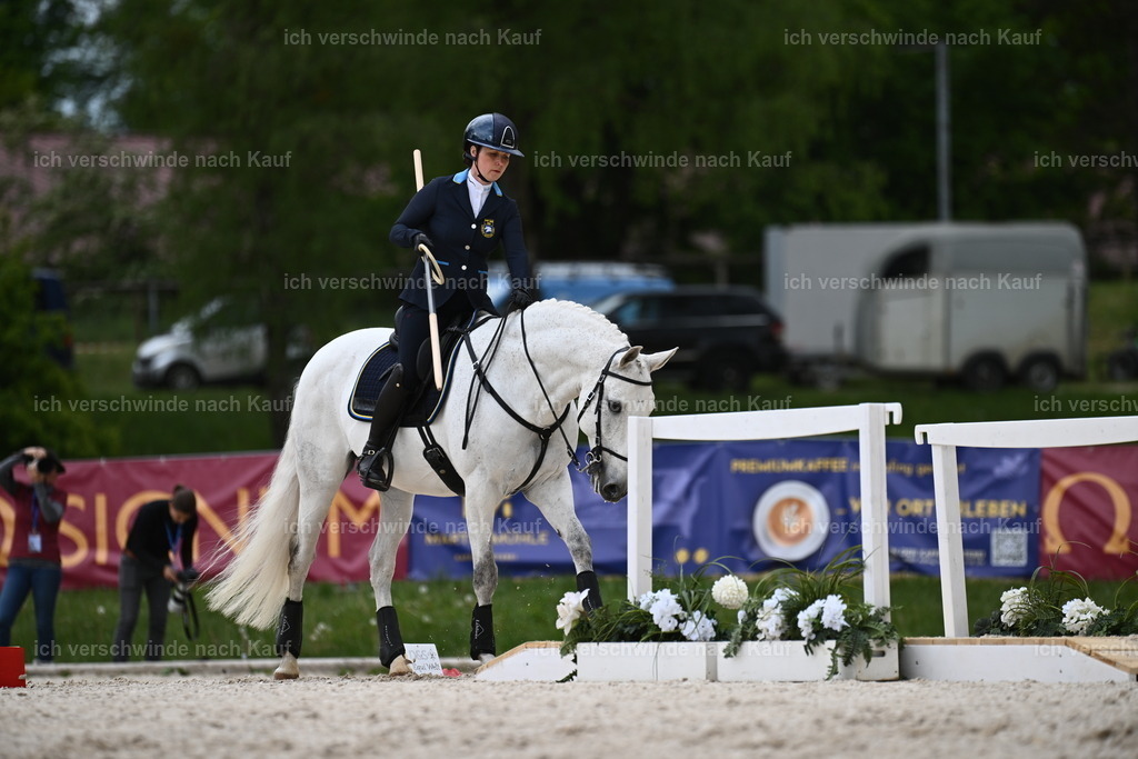 PI26_ST_Sara_Landvogt226_4239.JPG | working equitationturnier fotograf videograf stoibphotography marixx film working equitation deutschland reitsport turnierfotografie eventfotografie equestrian events