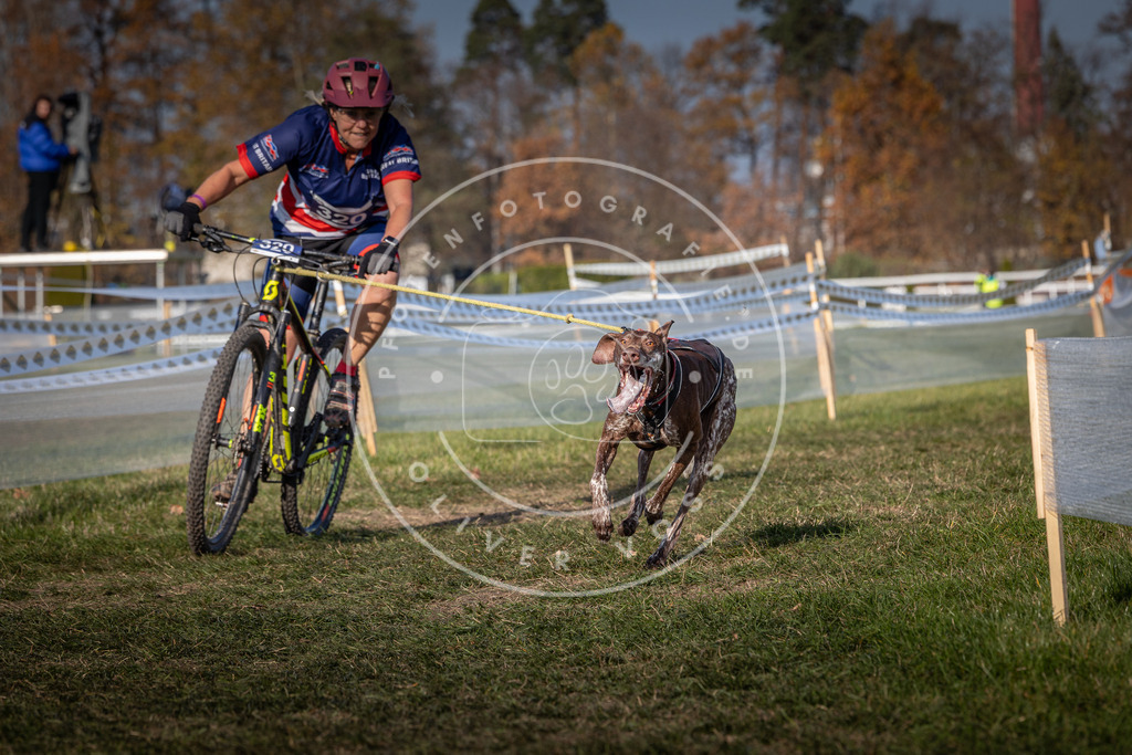 CaniXpix_0L8A7091 | Hundefotografie, Tierfotograf, Pfotenfotografie, Fotoshooting Hund, Hunde Portrait, Hundesport, Hundeportraits, Heideshooting, Hunde, Sportfotograf, Hundefotograf, Turnierhundsport, THS,  - Realisiert mit Pictrs.com