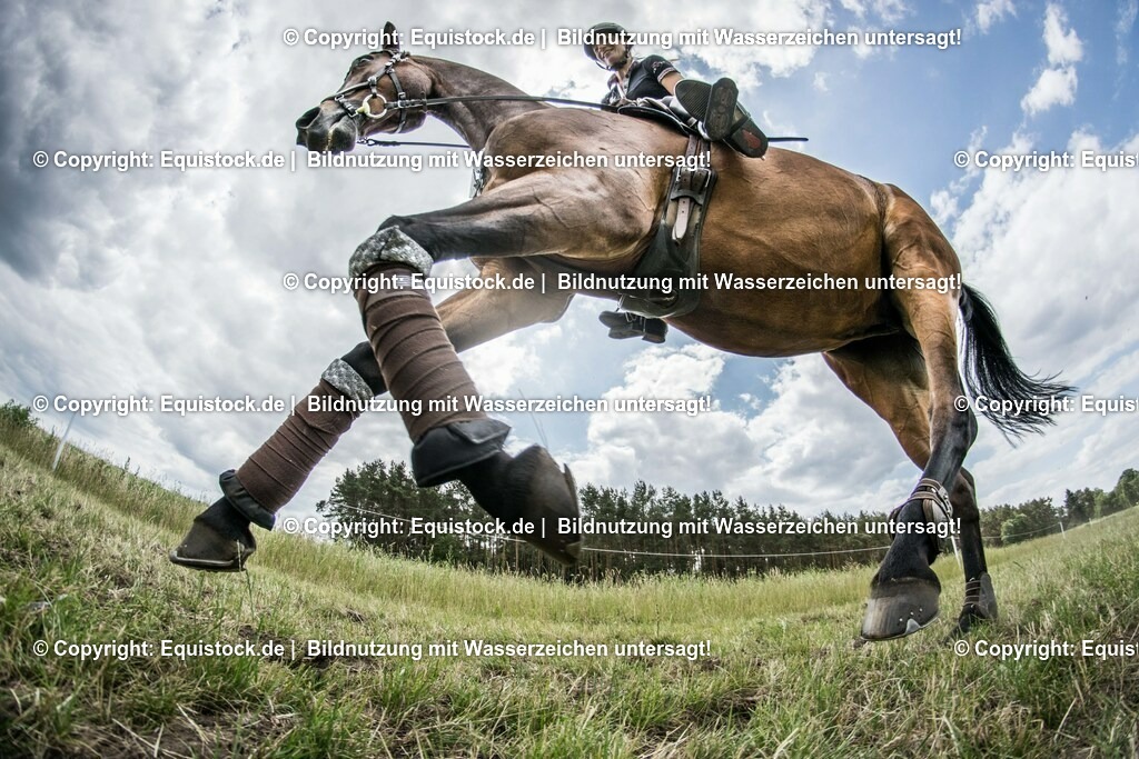 TS_20180615_Julia_Mestern_0014 | equistock