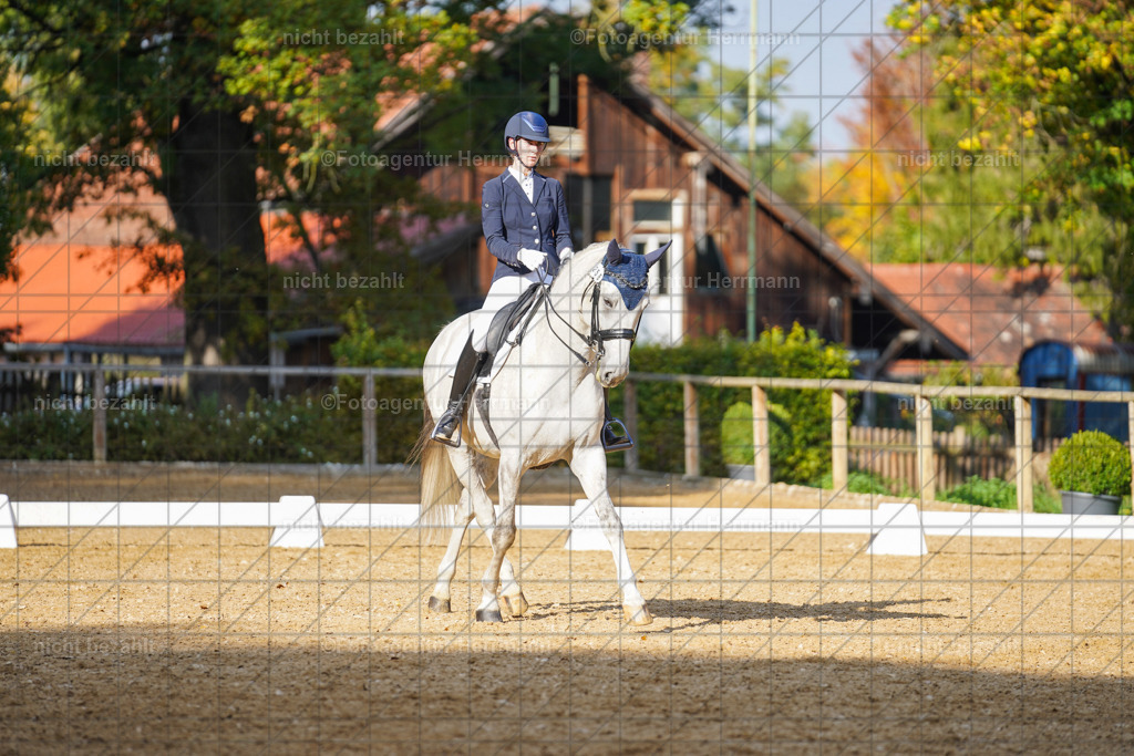 20221007-FAH00058 | Diessen am Ammersee, 2022, Dressur- und Springturnier, Reitsportbilder, Turnierfotografen Bayern, Pferdefotografen, Fotoagentur Herrmann, Turnierbilder