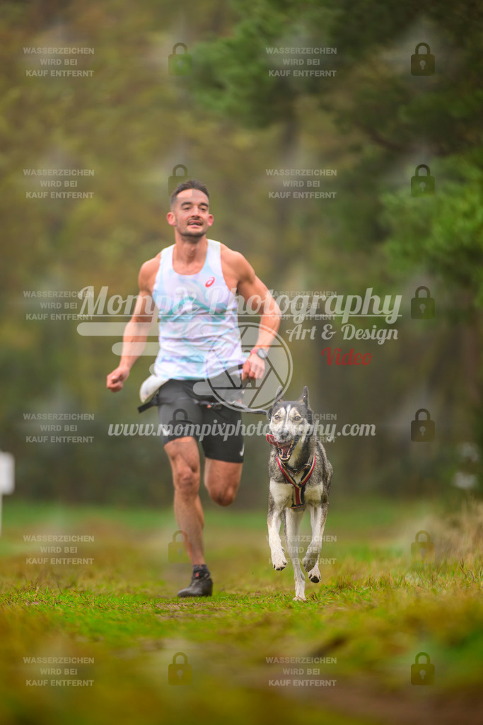 MompixPhotography_Bischwiller2025_Canicross-5 | mompixphotography