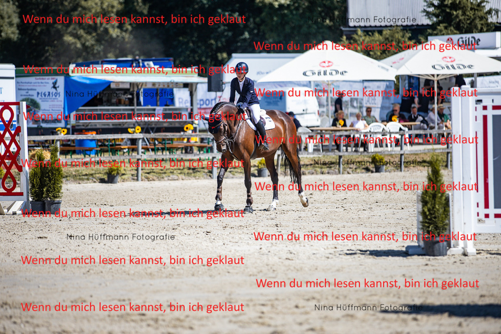 BK1A5460 | Turnierbilder Turnierfotos Nina Hüffmann Turnierfotografie Pferdefotografie Tierzeichnung Haustierzeichnung Pferdezeichnung Hundezeichnung Videograf  - Realisiert mit Pictrs.com