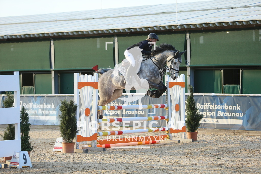 DL2Q4620 | Willkommen bei Brunnmayr - Design & Fotografie – Ihrem Spezialisten für Reitturniere und Pferdeveranstaltungen in Oberösterreich, Salzburg und Bayern! Seit über 17 Jahren sind wir leidenschaftlich dabei.