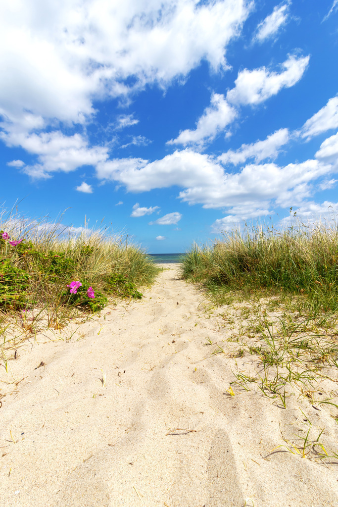 XXL Wandbild: Sandweg ans Meer  | Dieses XXL Wandbild im Hochformat zeigt einen Sandweg an den Ostseestrand im Frühling. Der Weg befindet sich inmitten von Strandhafer und blühenden Heckenrosen. Weiße Wolken befinden sich am blauen Himmel. Holen Sie sich jetzt das Strandfeeling nach Hause. Dieses Wandbild ist als Leinwand, als Acrylglas/Glasbild und Alu-Dibond in vielen Abmessungen erhältlich. Perfekt für das Wohnzimmer, Schlafzimmer, Küche, Büro oder die Praxis.  - Realisiert mit Pictrs.com