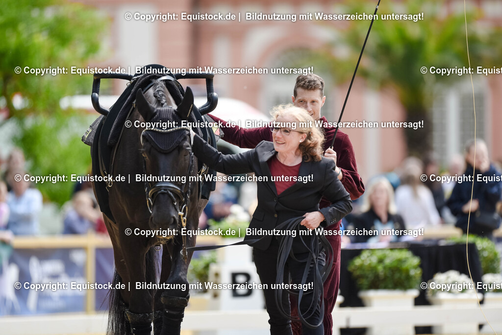 20250608_CVI-Masterclass_0345 | Foto: Thomas Hartig