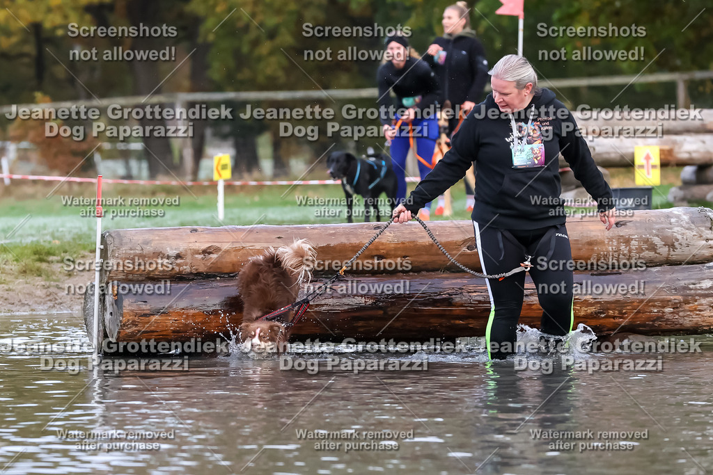 Dog Paparazzi - Strongdog 10-25-6294 | Dog Paparazzi Jeanette Grottendiek Fotografie & Videografie - Realisiert mit Pictrs.com