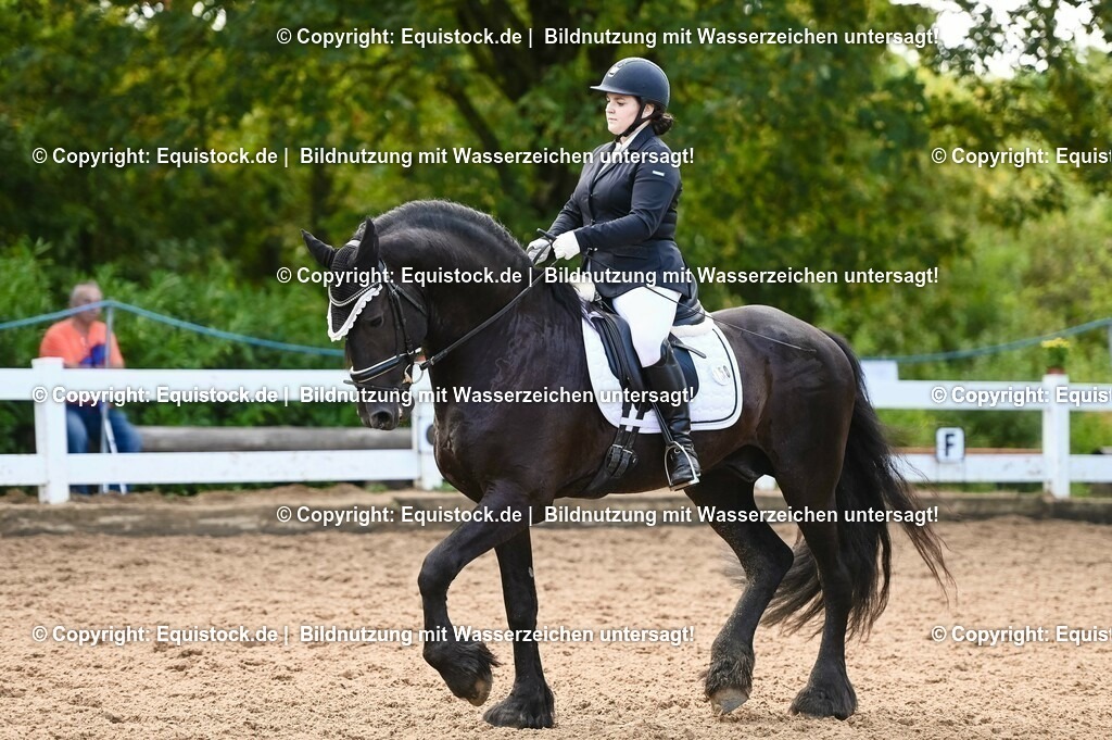 20230716_04_Dressurreiterprüfung Kl.A_0392 | equistock