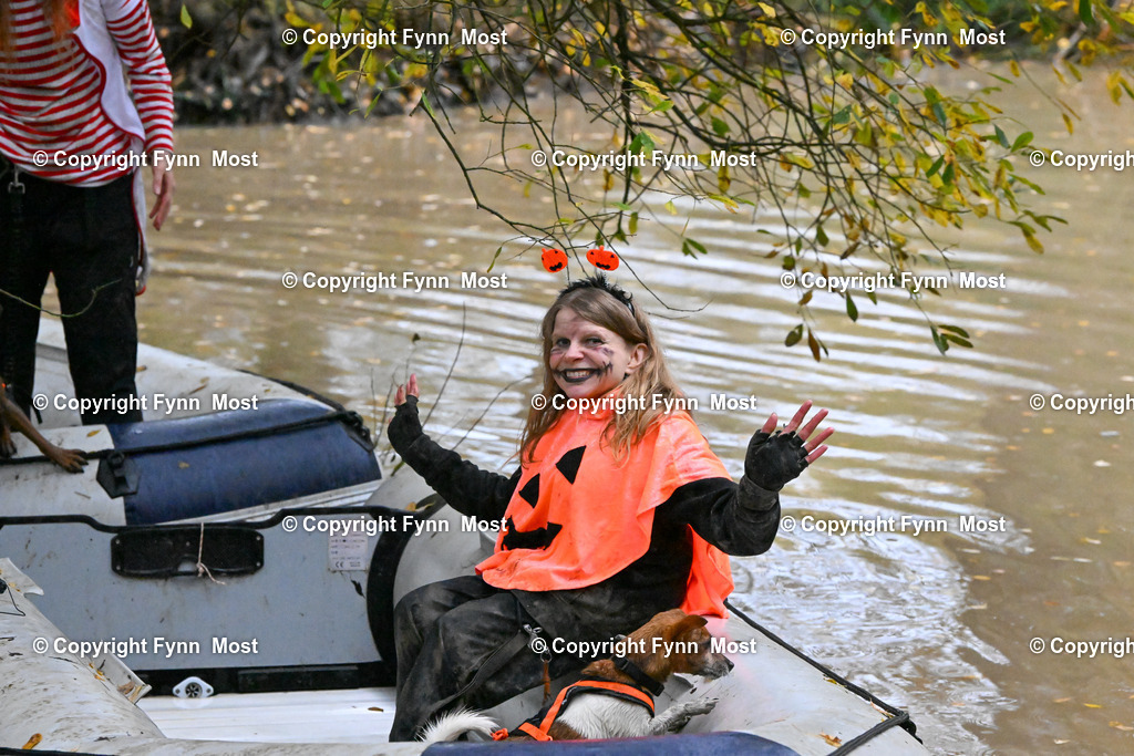 DSC_6951 | Hallo und herzlich Willkommen auf meiner Shop-Seite Fynn Most.

Ich wünsche Dir viel Spaß beim stöbern durch die Bilder, wenn Du Fragen hast oder Bilder vermisst, kannst du mir gerne eine Nachricht schreiben. - Realisiert mit Pictrs.com