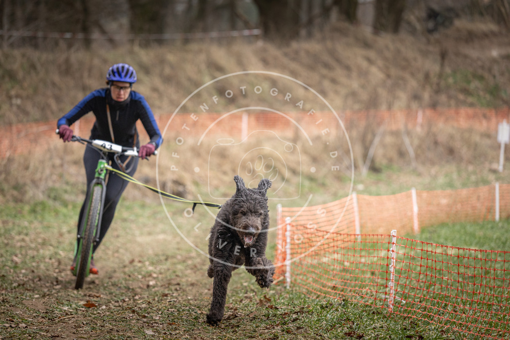 Pfotenfotografie_DV3A6591 | Hundefotografie, Tierfotograf, Pfotenfotografie, Fotoshooting Hund, Hunde Portrait, Hundesport, Hundeportraits, Heideshooting, Hunde, Sportfotograf, Hundefotograf, Turnierhundsport, THS,  - Realisiert mit Pictrs.com