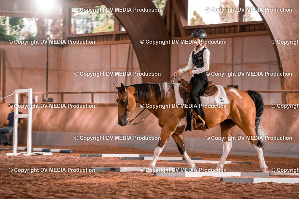 NE300075 | dv-media-shop - Realisiert mit Pictrs.com