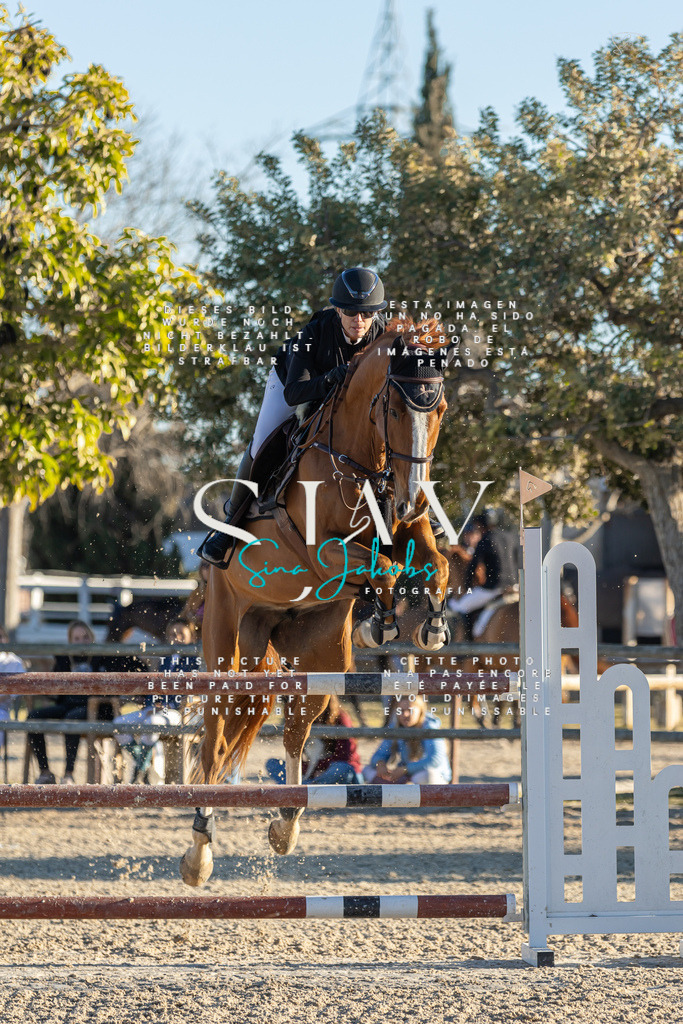 IMG_2511 | s-jay-photography - Realisiert mit Pictrs.com