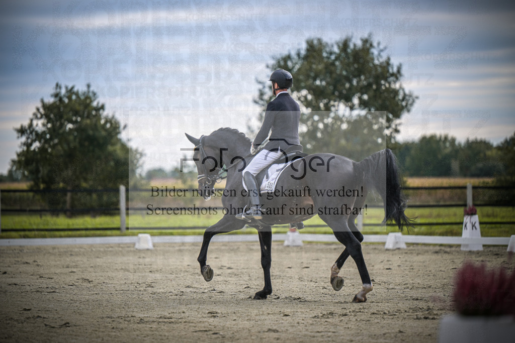 DOS_0707 | Entdecke hochwertige Reitturnierfotos von Foto Oger. Professionell, emotional und authentisch – jetzt Lieblingsmomente im Shop bestellen.Deutschlandweite Turnierfotografie. - Realisiert mit Pictrs.com