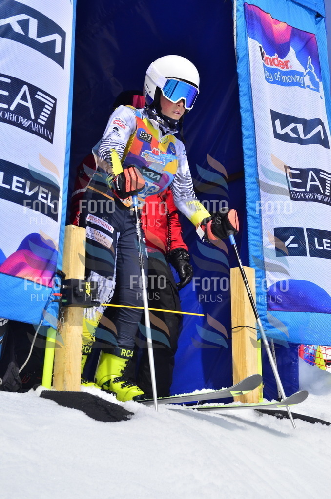 _ELE1981 | holidayphoto