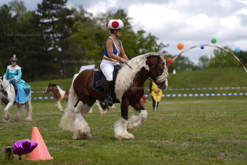 PI26_Show_BTS_StoibphotographyPI26_Show_BTS_Stoibph_DSC0885.JPG.JPG | working equitationturnier fotograf videograf stoibphotography marixx film working equitation deutschland reitsport turnierfotografie eventfotografie equestrian events
