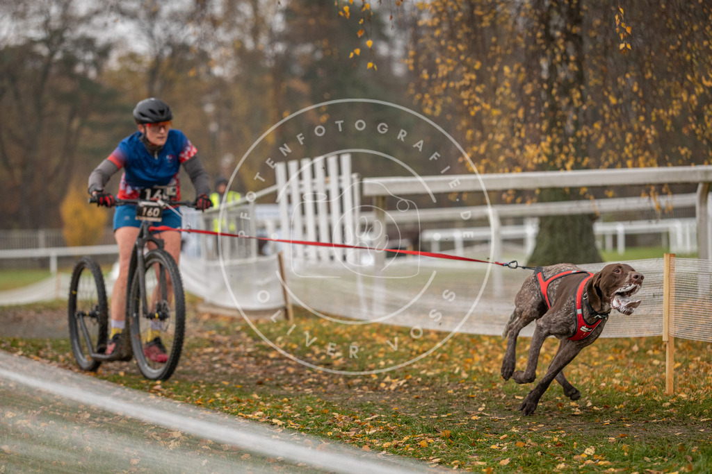 CaniXpix_DV3A8504 | Hundefotografie, Tierfotograf, Pfotenfotografie, Fotoshooting Hund, Hunde Portrait, Hundesport, Hundeportraits, Heideshooting, Hunde, Sportfotograf, Hundefotograf, Turnierhundsport, THS,  - Realisiert mit Pictrs.com
