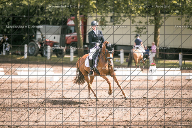 _W6A4222 | ronjaprokoschfotografie - Realisiert mit Pictrs.com