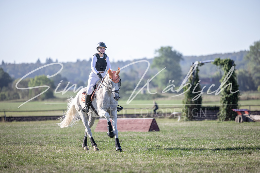 20260906-_3LI1367 | Tierfotografie Pferde, Hunde, Katzen, Haustiere.
Turnierfotografie Reitturniere, Reiten, Springreiten, Dressur in Hanau, dem Main-Kinzig-Kreis und dem Rhein-Main- Gebiet um Frankfurt