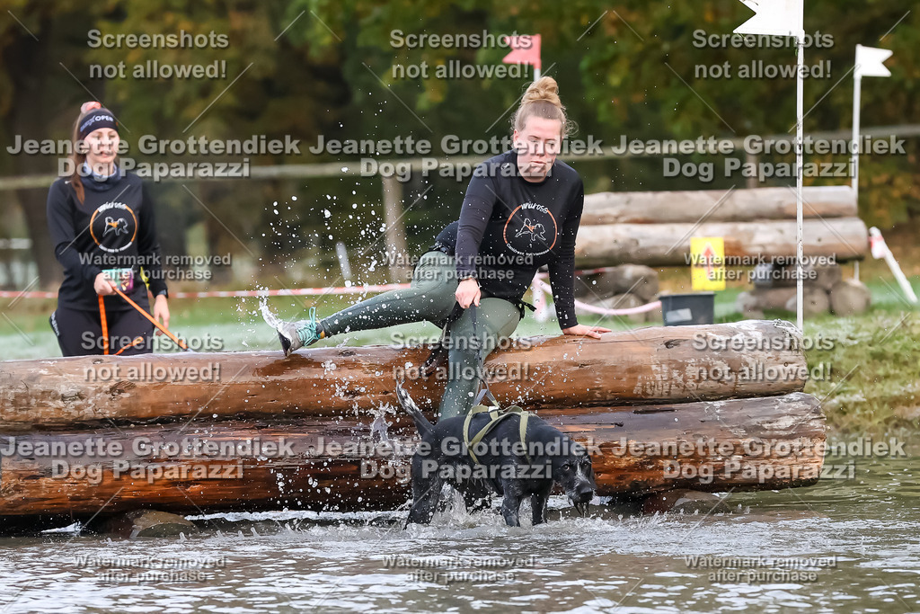 Dog Paparazzi - Strongdog 10-25-6215 | Dog Paparazzi Jeanette Grottendiek Fotografie & Videografie - Realisiert mit Pictrs.com