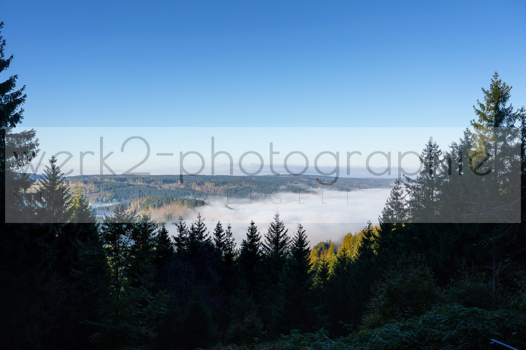 Herbstlauf 2024 | Rennsteig-Herbstlauf von Neuhaus am Rennweg nach Masserberg am 6. Oktober 2024
