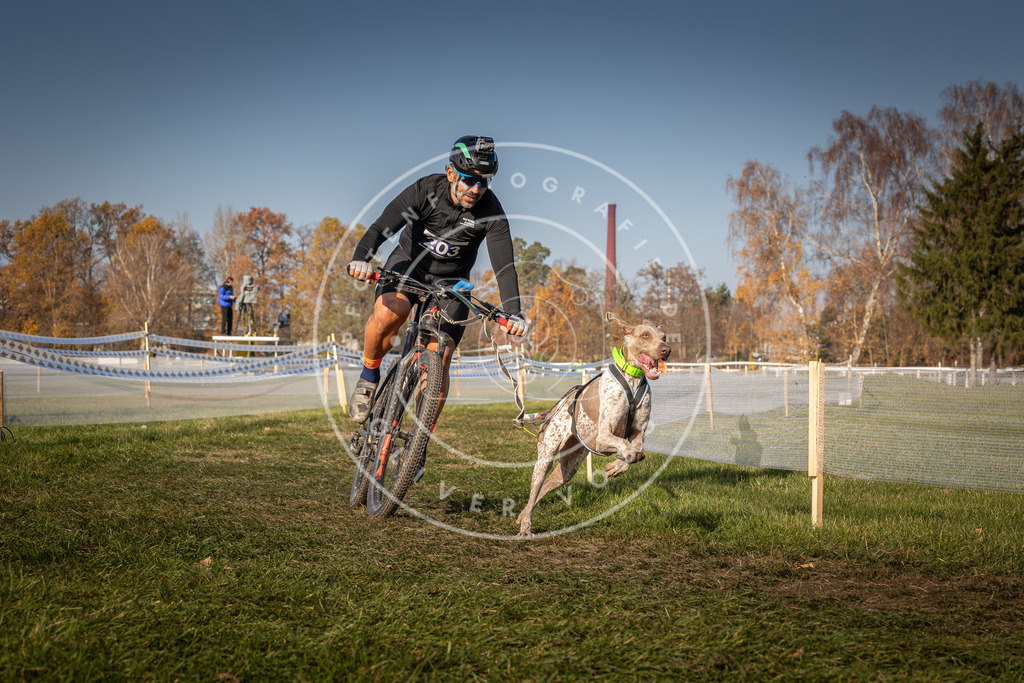 CaniXpix_0L8A7835 | Hundefotografie, Tierfotograf, Pfotenfotografie, Fotoshooting Hund, Hunde Portrait, Hundesport, Hundeportraits, Heideshooting, Hunde, Sportfotograf, Hundefotograf, Turnierhundsport, THS,  - Realisiert mit Pictrs.com