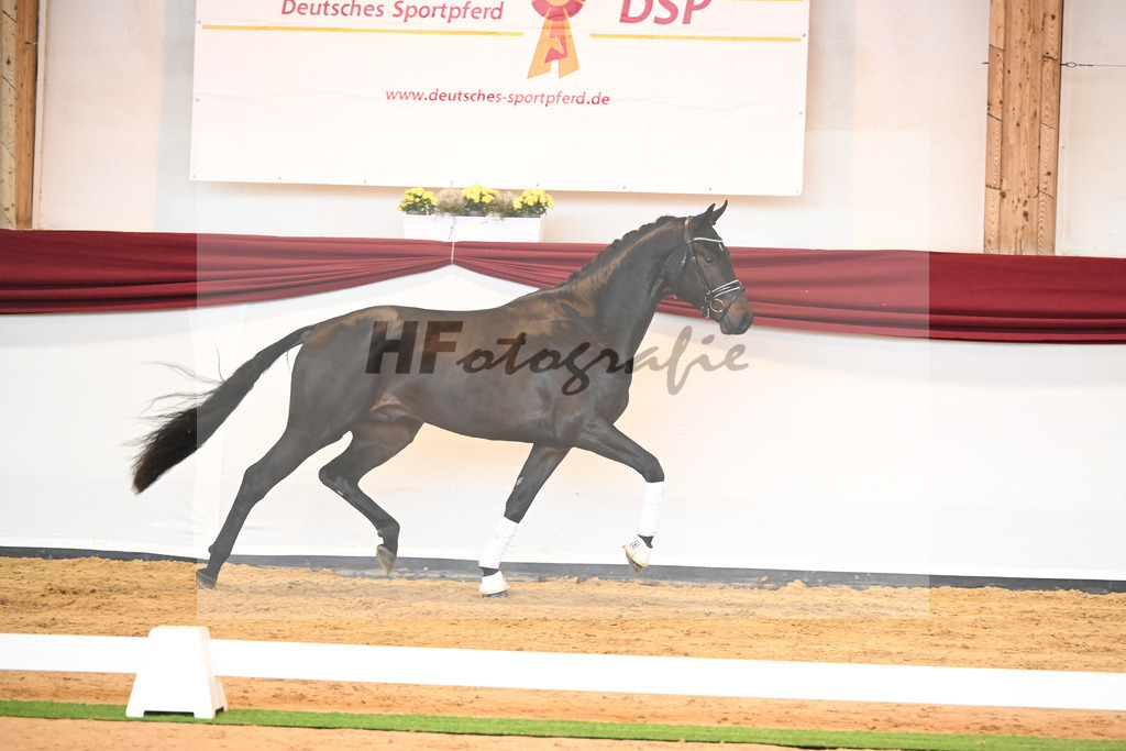 Kat-Nr. 40 v. Lord Europe_Bergmann_66221881 | hf-fotografie - Realisiert mit Pictrs.com