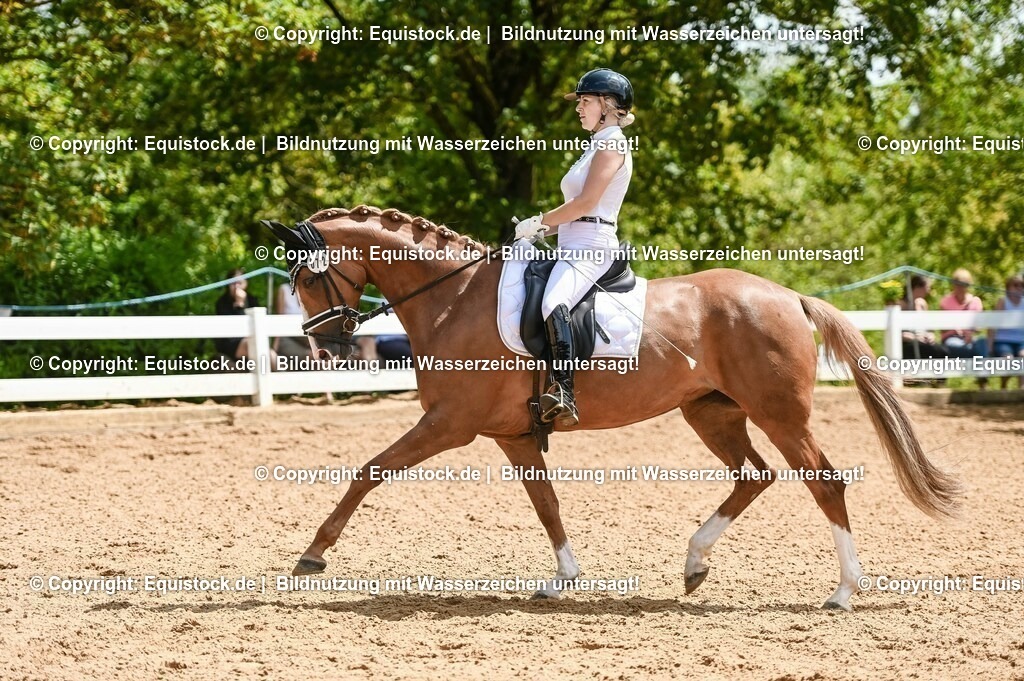 20230716_03_Dressurprfg. Kl.L - Tr._0498 | equistock