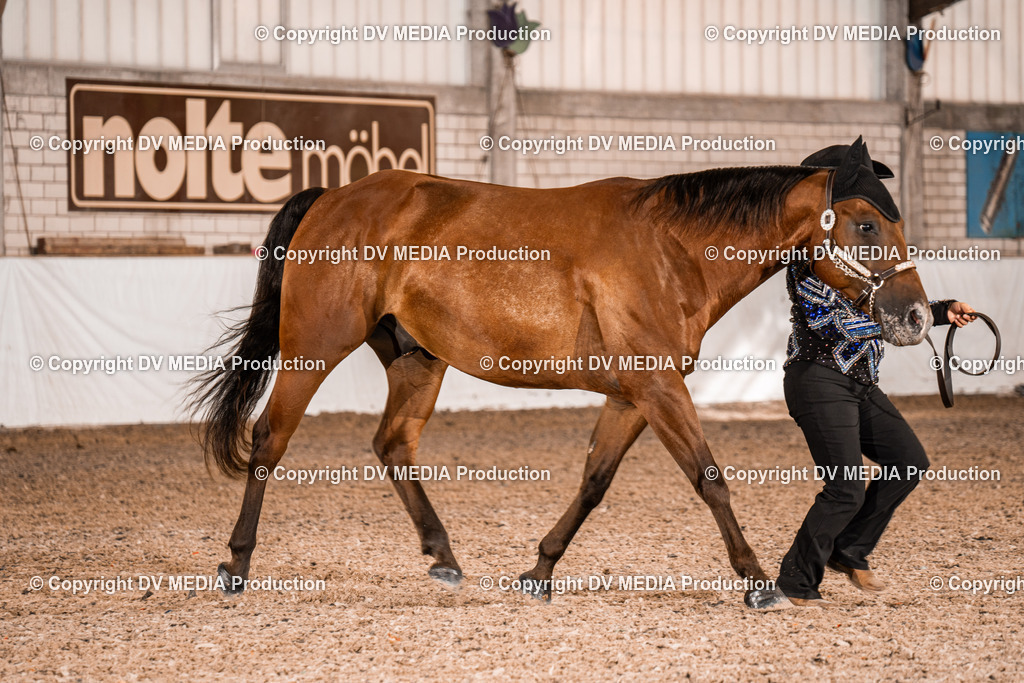 ZH100009 | dv-media-shop - Realisiert mit Pictrs.com