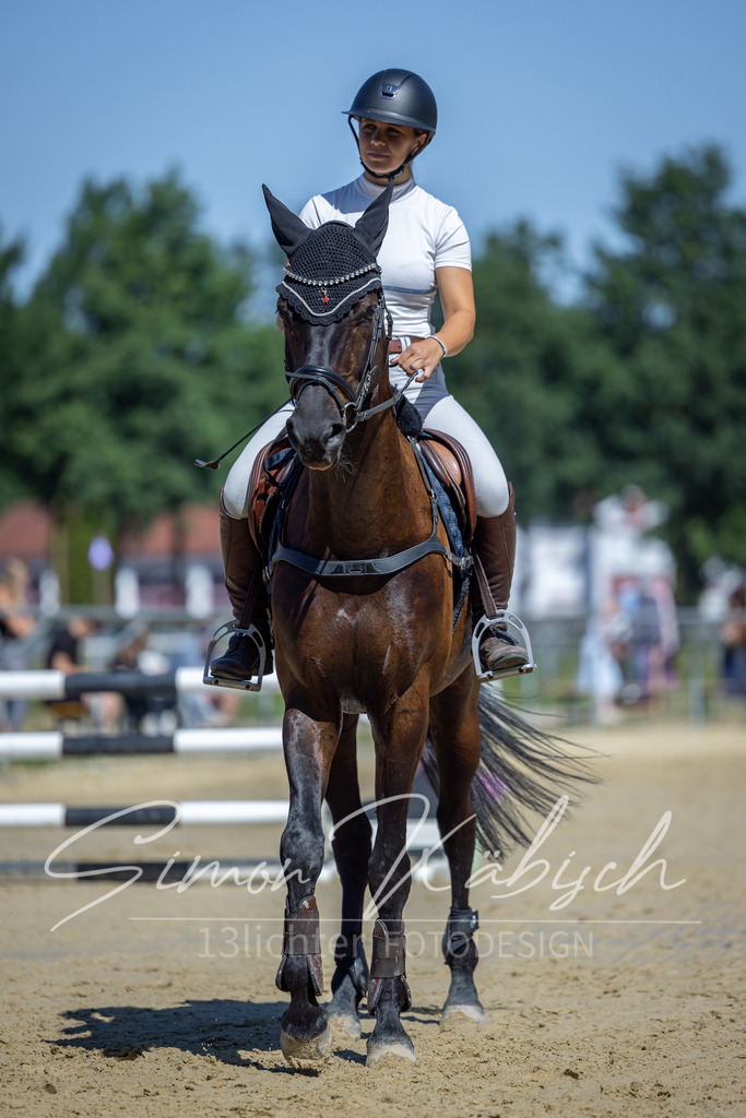 20260704-_3LI7586 | Tierfotografie Pferde, Hunde, Katzen, Haustiere.
Turnierfotografie Reitturniere, Reiten, Springreiten, Dressur in Hanau, dem Main-Kinzig-Kreis und dem Rhein-Main- Gebiet um Frankfurt