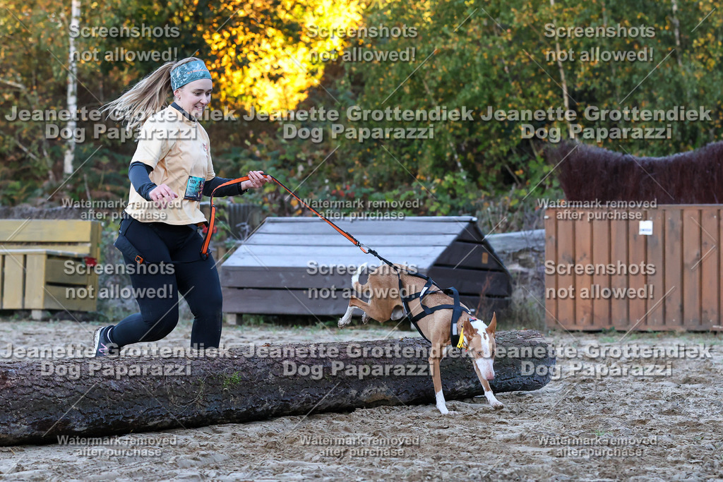 Dog Paparazzi - Strongdog 10-25-327 | Dog Paparazzi Jeanette Grottendiek Fotografie & Videografie - Realisiert mit Pictrs.com