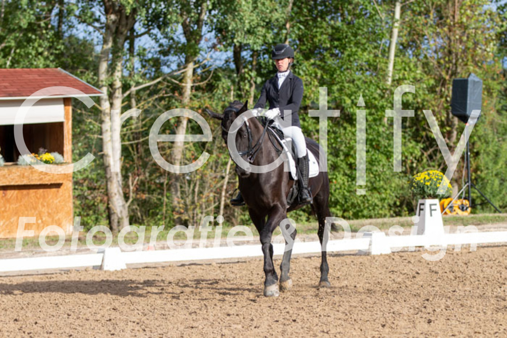 IMG_6216 | Creatify Fotografie