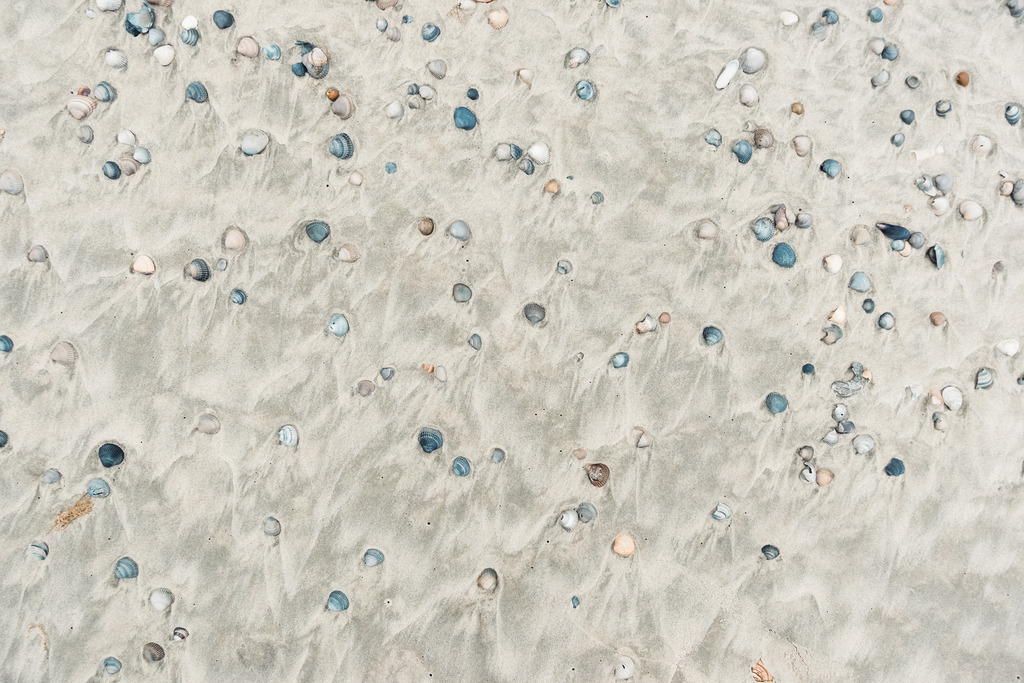 DSC03598 | AHORN PHOTOGRAPHY - Realisiert mit Pictrs.com