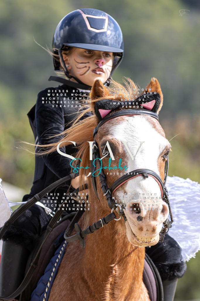 IMG_2174 | s-jay-photography - Realisiert mit Pictrs.com