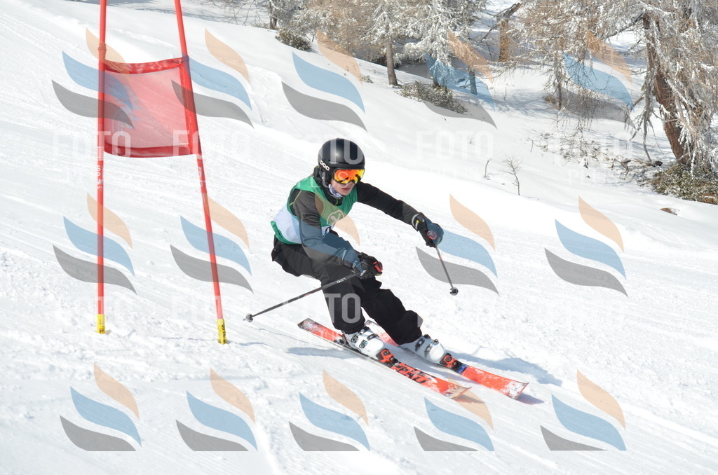 D9164 | holidayphoto