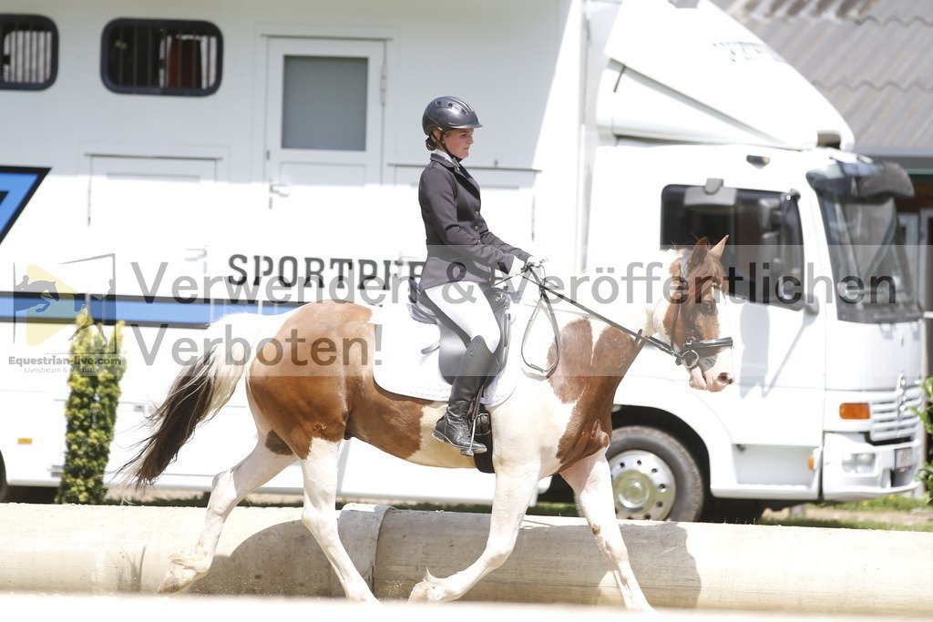_MG_0894 | equestrian-live-com