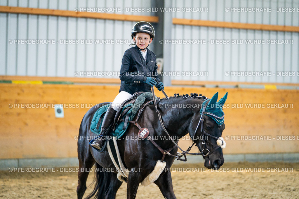 DSC01008 | Pferdegrafie