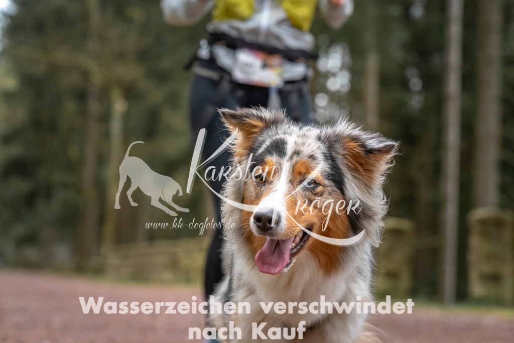 0805DZ6_2834 | kk-dogfotos