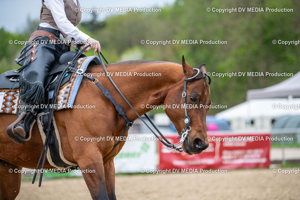 Heiligenwald Tag 1-1608 | dv-media-shop - Realisiert mit Pictrs.com