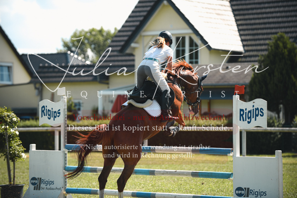 DSC_6870 | Pferde- und Turnierfotografie in Westsachsen. Pferdeportraits, Auftragszeichnungen und intuitive Kunst.