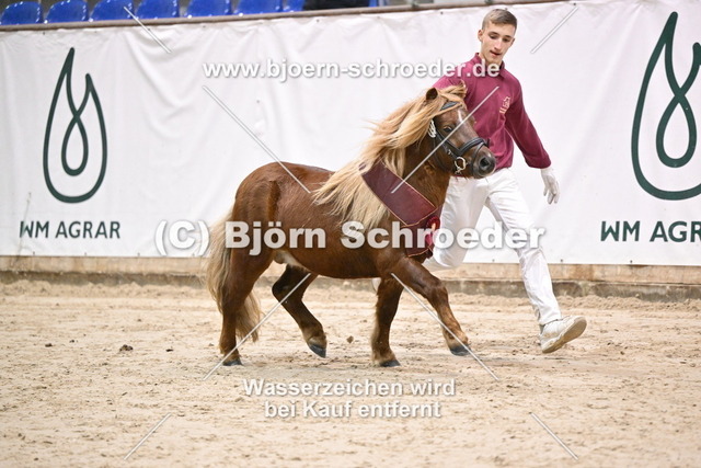 21_Edson v._T Heut - Lucky_963_1754 | Björn Schroeder Pferdefotografie