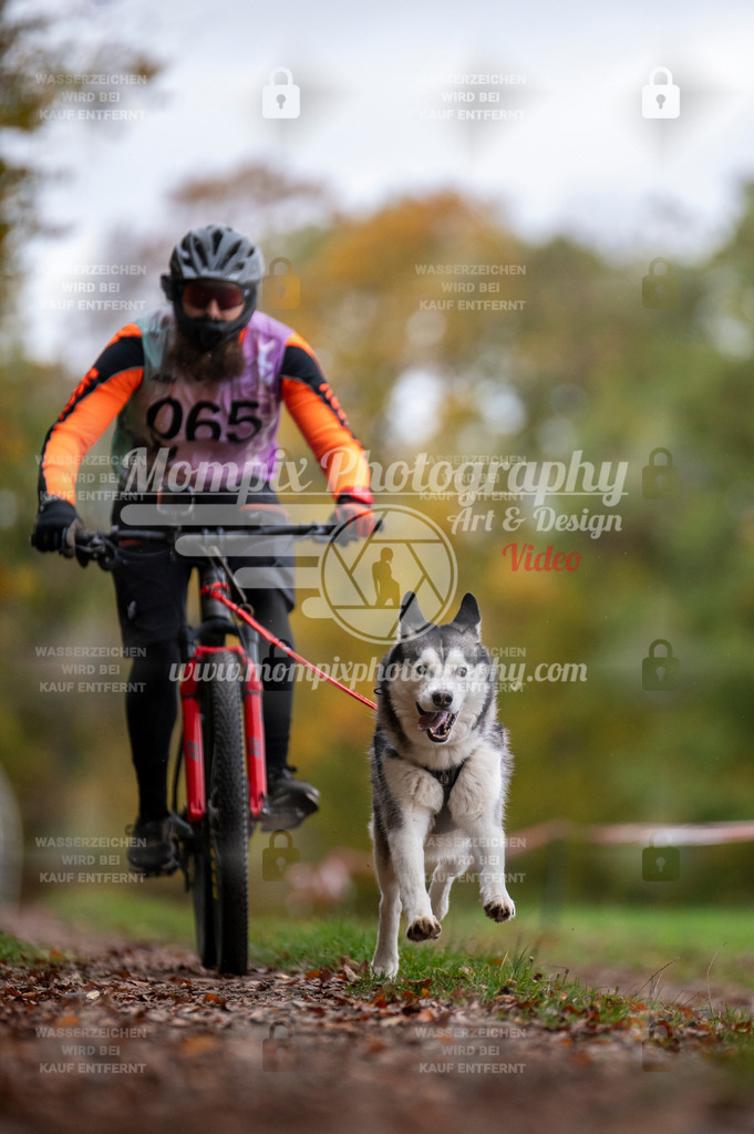 DBT_DAKM_SA_4_11_2023_Bike-94 | PayLife