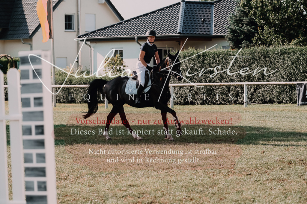 DSC_4697 | Pferde- und Turnierfotografie in Westsachsen. Pferdeportraits, Auftragszeichnungen und intuitive Kunst.