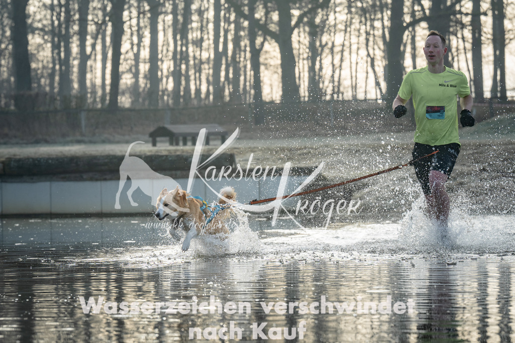 0818_ZZ96588 | kk-dogfotos