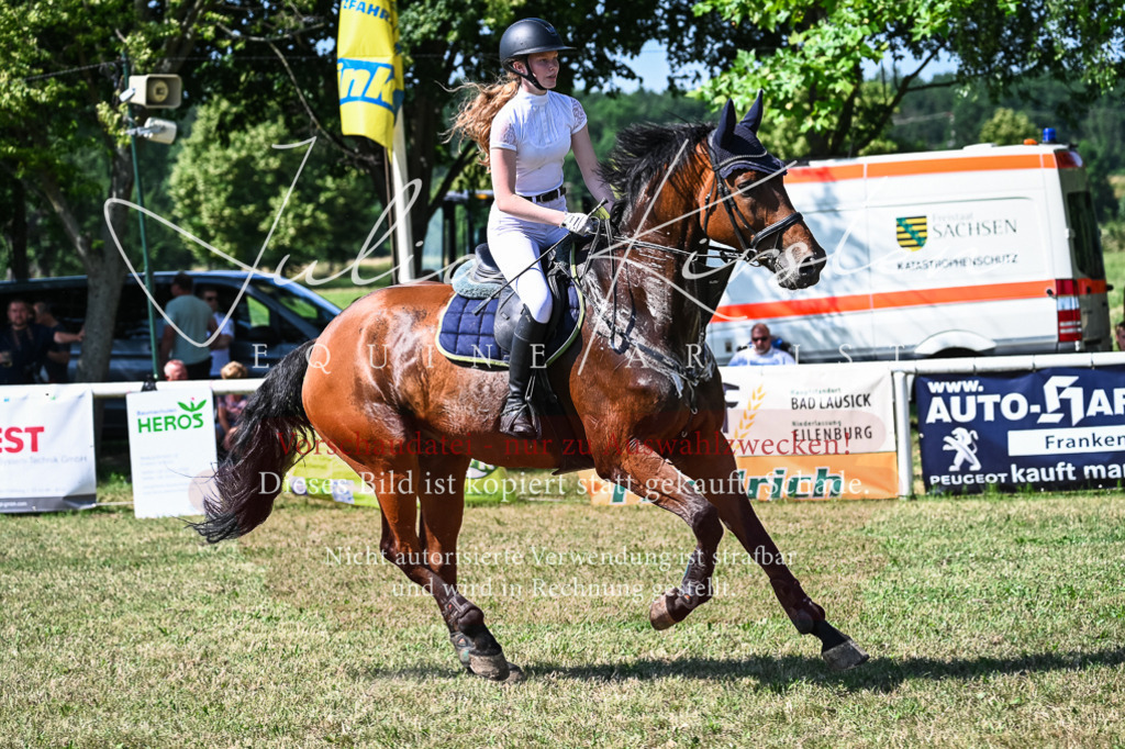 DSC_1676 | Pferde- und Turnierfotografie in Westsachsen. Pferdeportraits, Auftragszeichnungen und intuitive Kunst.
