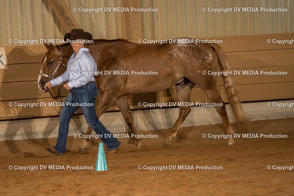 NID02356 | dv-media-shop - Realisiert mit Pictrs.com