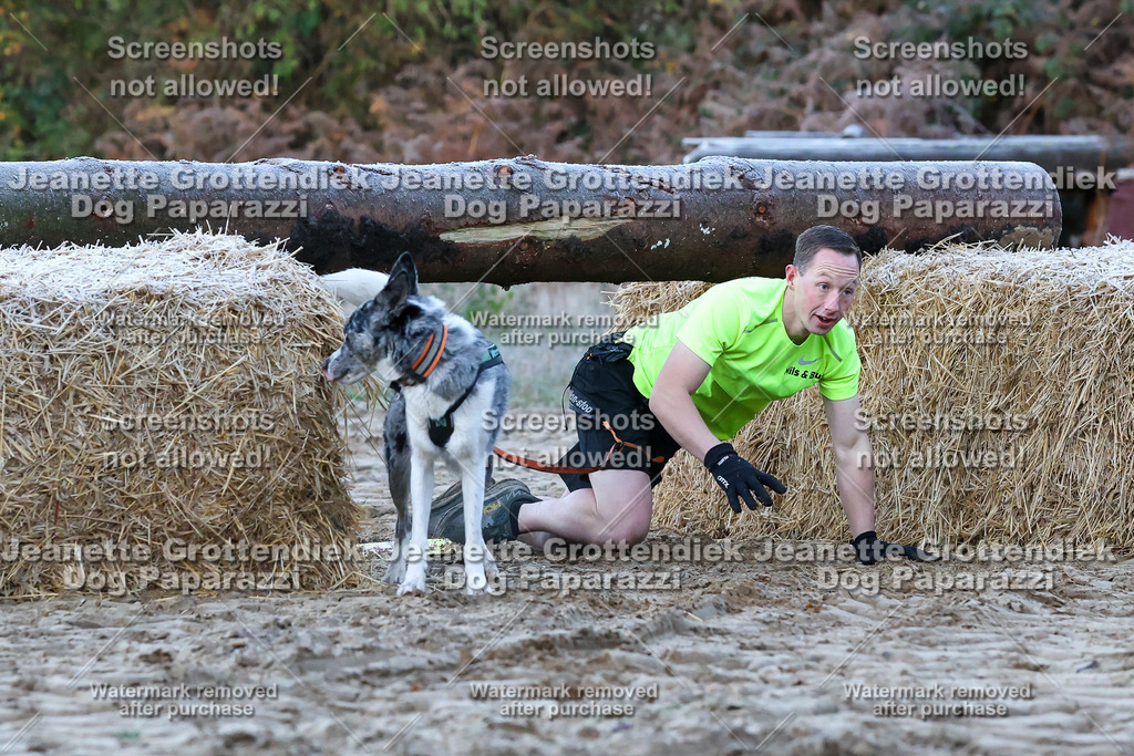 Dog Paparazzi - Strongdog 10-25-85 | Dog Paparazzi Jeanette Grottendiek Fotografie & Videografie - Realisiert mit Pictrs.com