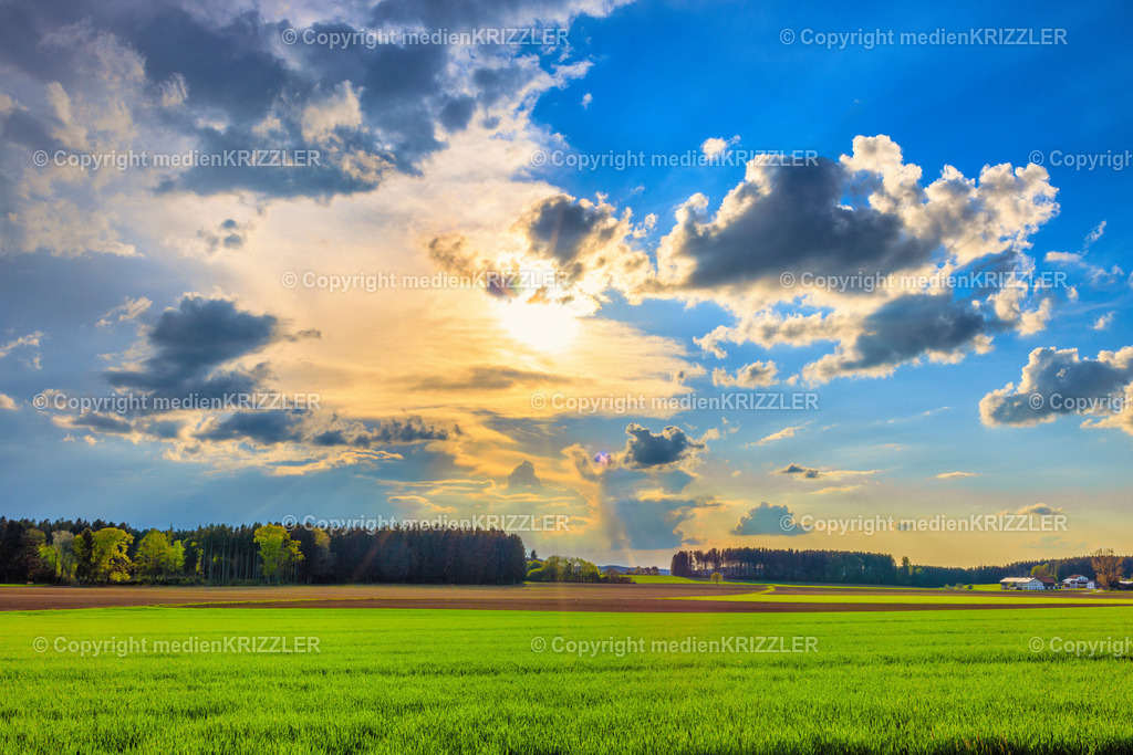 _J3A7650 | medienkrizzler - Realisiert mit Pictrs.com