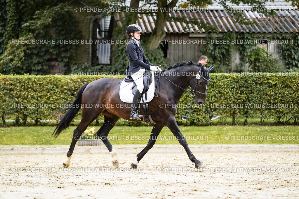 DSC07684 | Pferdegrafie