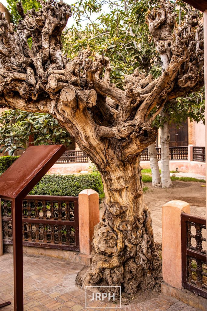 IMG_8020 | jrph - Realisiert mit Pictrs.com