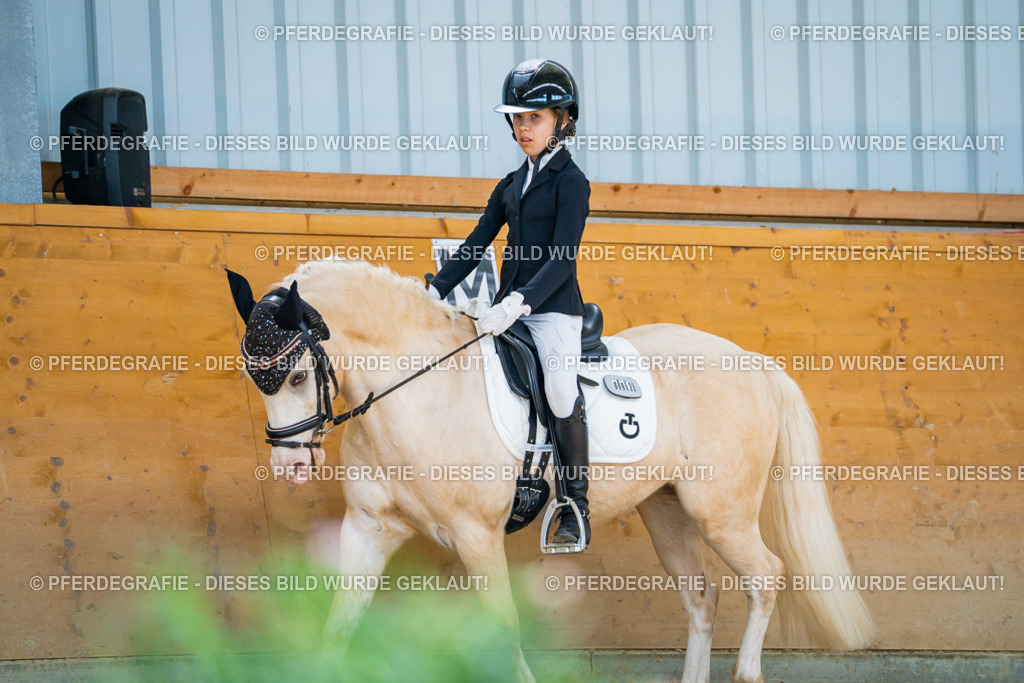 DSC09030 | Pferdegrafie